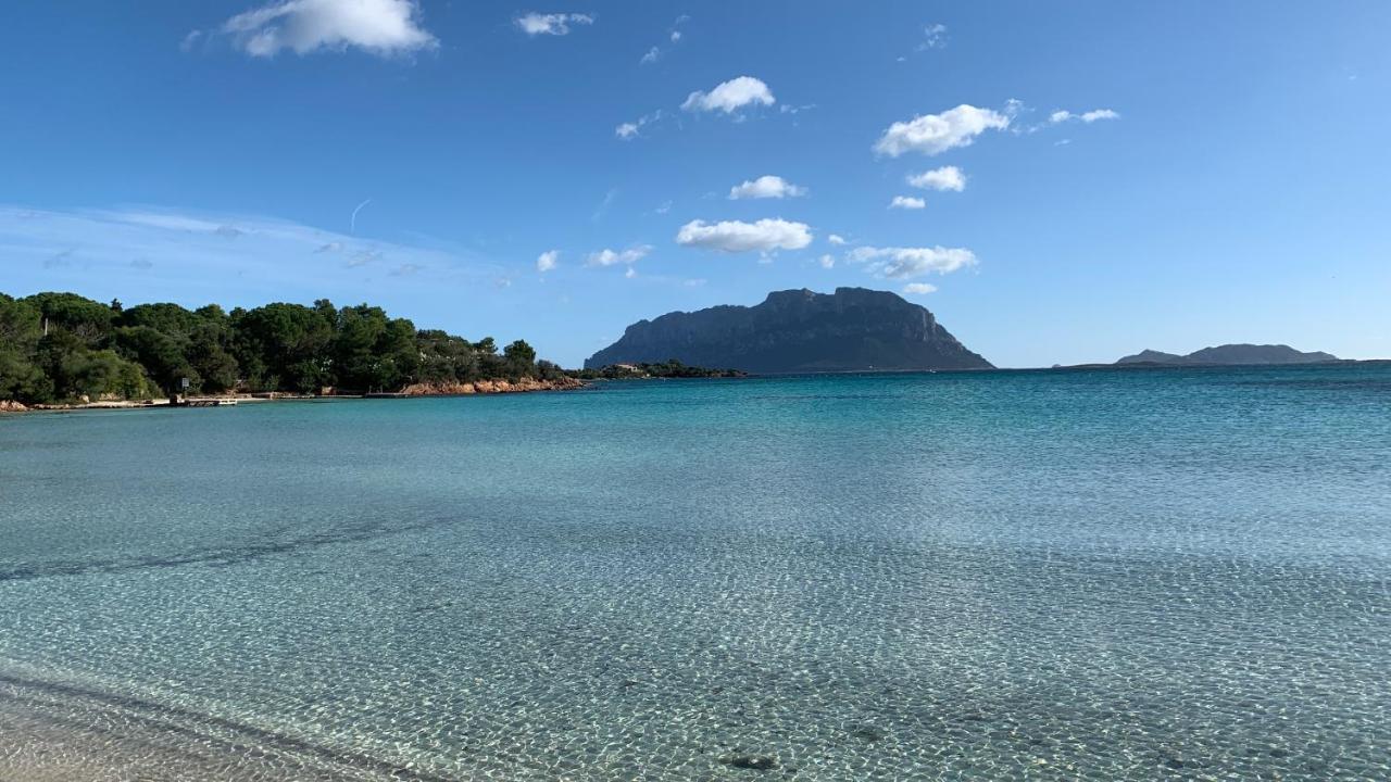 Villa Rosa Dei Venti - Casa Maestrale - Sardegna - Iun R2217 Olbia Exterior foto